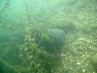 /album/galerie-photos/etang-de-peche-17-jpg/